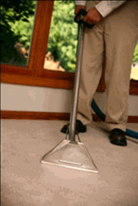 Adding Carpet Cleaning Can Boost Your Profit