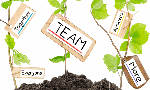 Do Your Team Leaders Have The Qualities to Succeed&##x3f;
