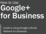 Ebook&##x3a; Google&##x2b; for Business