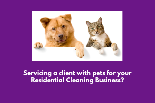 Cleaning homes with a pet or two&##x3f;