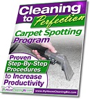 What's In Your Carpet Spotting Kit?